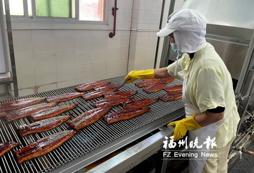 長(zhǎng)樂全力打造“海上糧倉(cāng)” 研發(fā)水產(chǎn)品預(yù)制菜，提升福州海蚌產(chǎn)業(yè)影響力